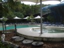 Volume 49, Image 1277