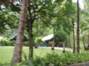 Volume 52, Image 1473
