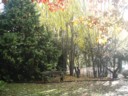 Volume 74, Image 2335