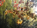Volume 74, Image 2336