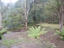 Volume 75, Image 2351