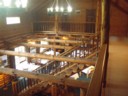 Volume 75, Image 2354