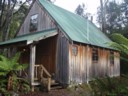 Volume 75, Image 2372