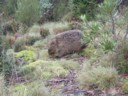 Volume 76, Image 2403
