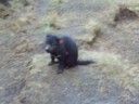 Volume 78, Image 2468