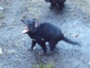 Volume 78, Image 2476