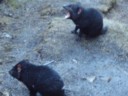 Volume 78, Image 2477