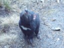 Volume 78, Image 2480