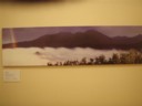 Volume 80, Image 2545
