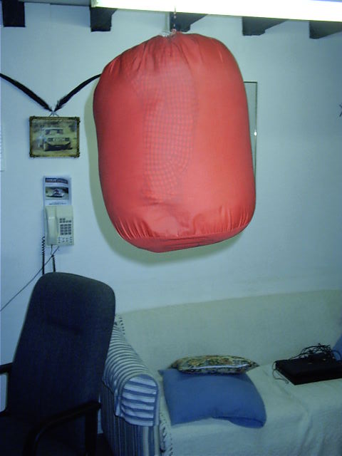 The new and improved punching bag.