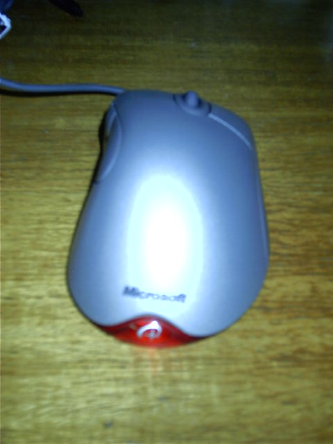 My new mouse.