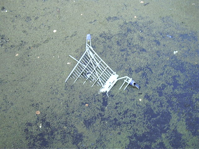 Alas, poor trolly, I knew it well....