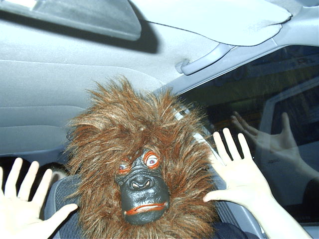 Draxy apes about in the car. Later I was forced to spank the monkey.