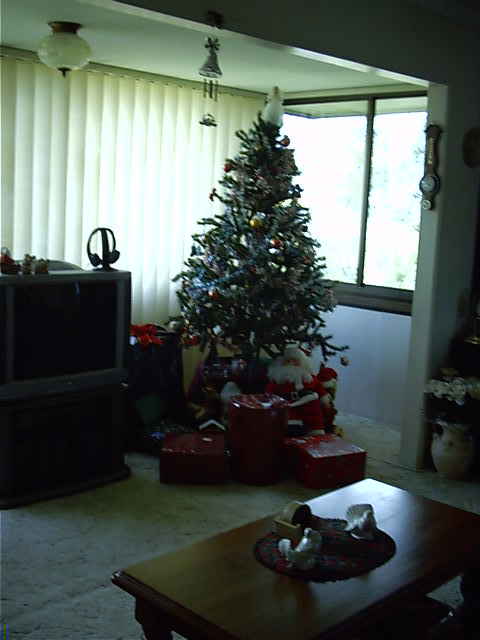 It's Christmas. W00t!