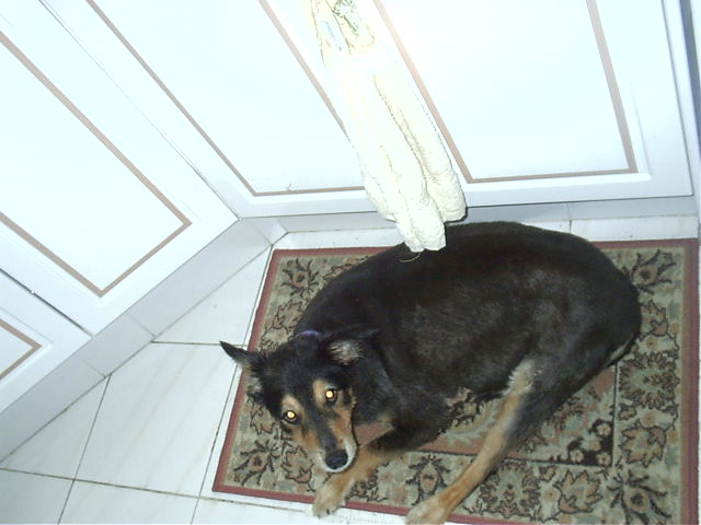 Oscar