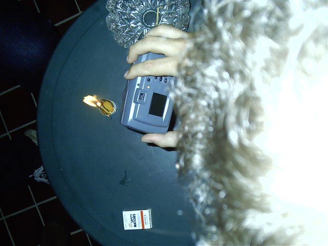 Lime takes a pic