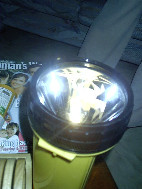 A spider cut-out on the torch provided seconds of amusement