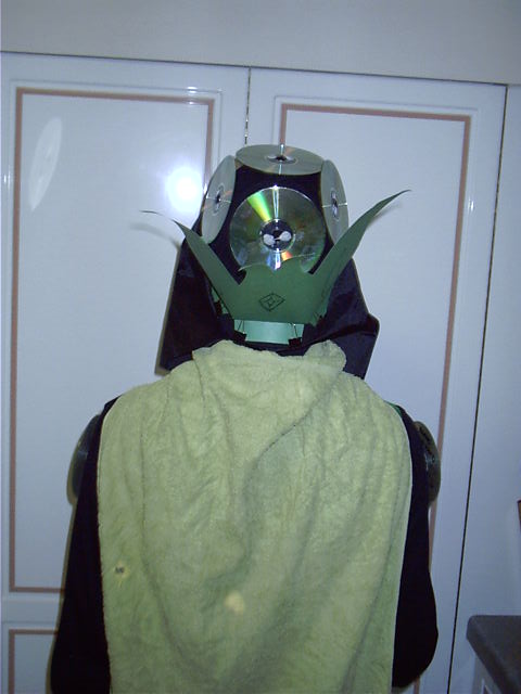 The back