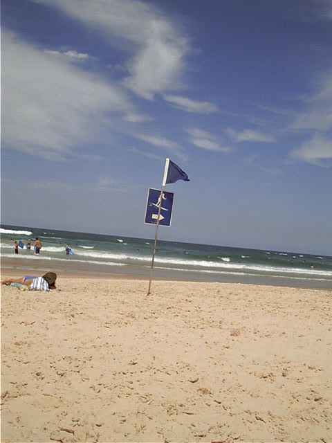 Surf's up dude