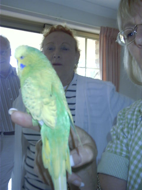 Nana checks out the bird