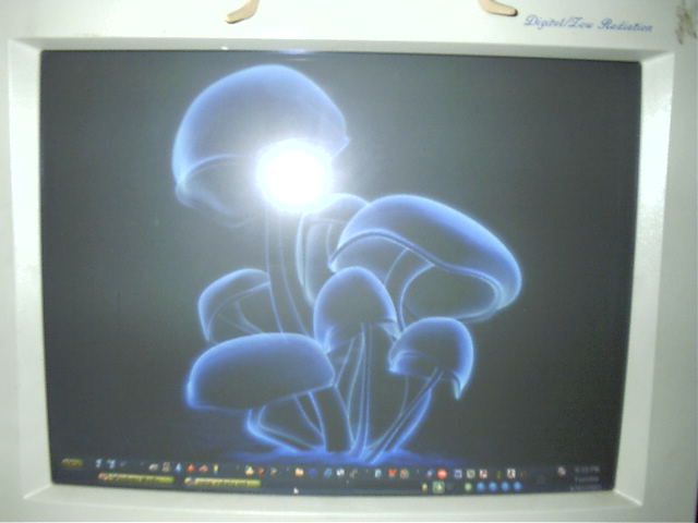 My desktop
