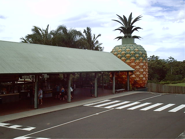 Yeah, that's a pretty big pineapple i guess