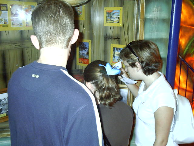 Looking at the displays