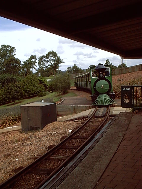 Here comes the train