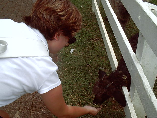 Trui and a animal