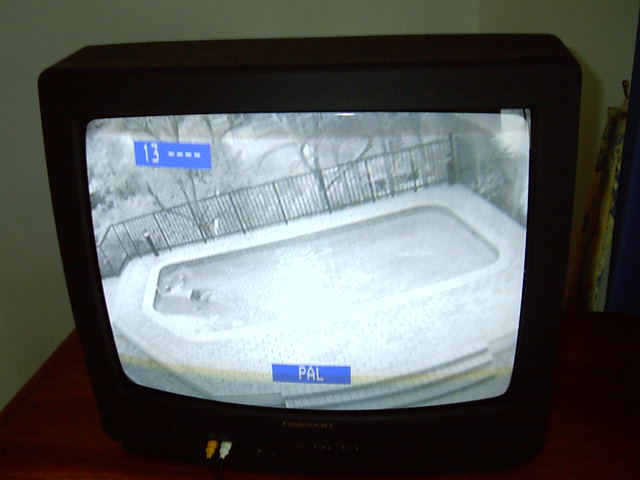 Including the pool