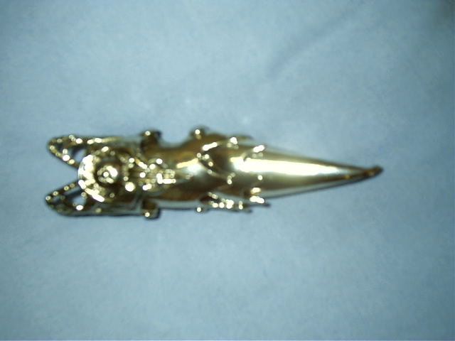 My gift from Draxy. It's a kewl metal finger cover.