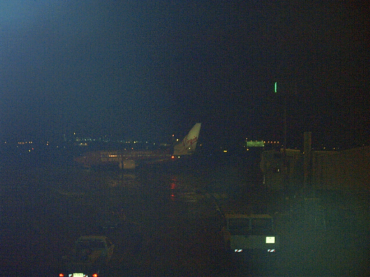 Plane leaves