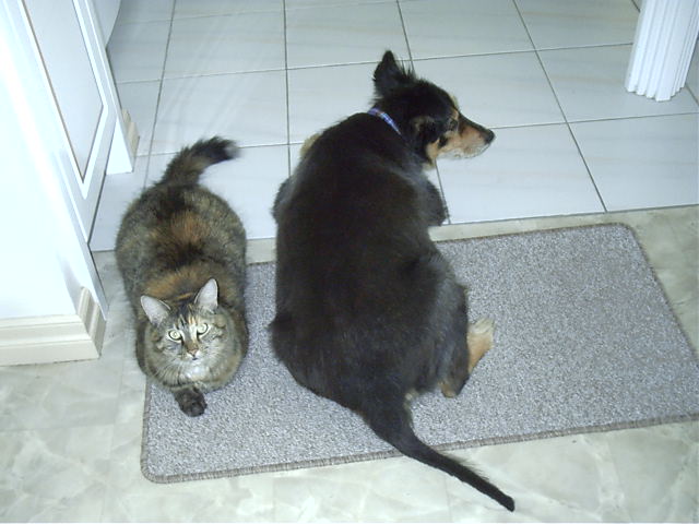 Sushi and Oscar