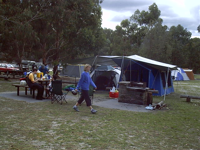 The site