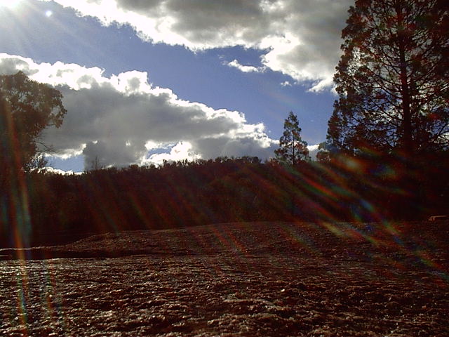 Nice day for a walk