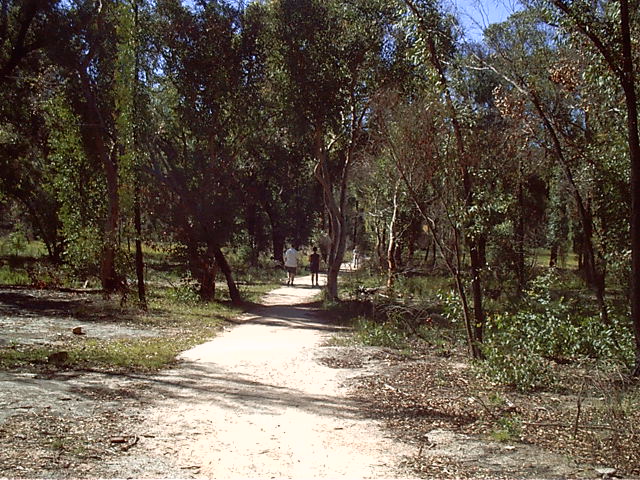 Draxy and Ix walk ahead