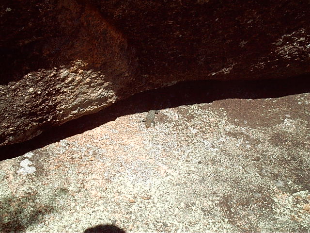 The natives of this mountain