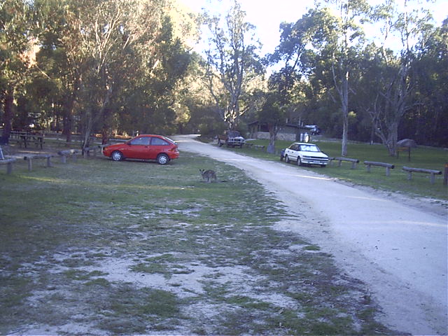 Back to the campsite and we have a visitor