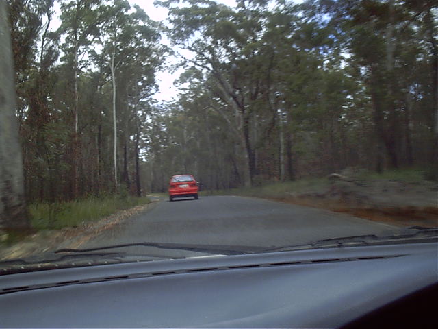 Following Megan
