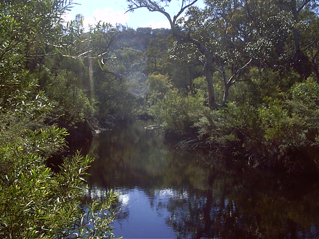 The water hole