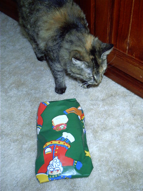 Sushi checks out her pressie.