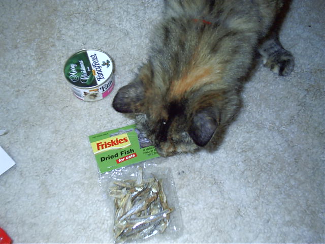 Mmmmm, tiny dried fish things.