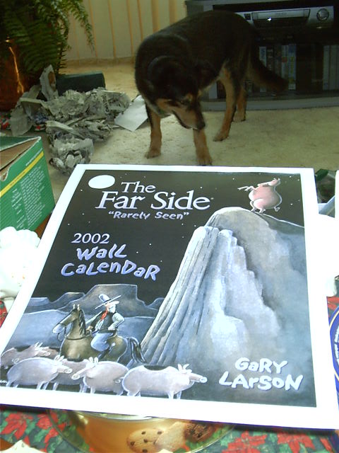 I gots me a new calander for down here. Will replace Dilbert 2001.