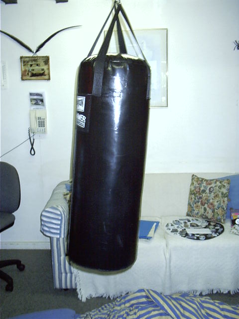 Dad puts the bag up.