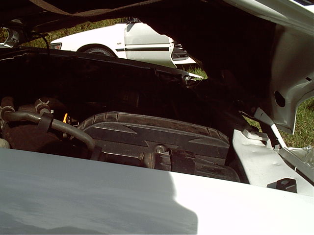 It's a 'compact' car