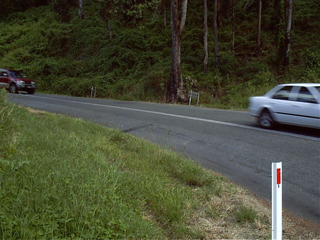 Where it happened at Mt Tamborine