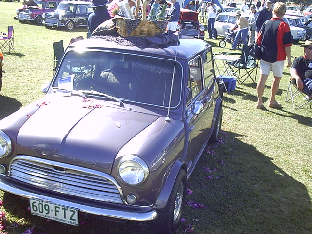 Megan's fav looking mini