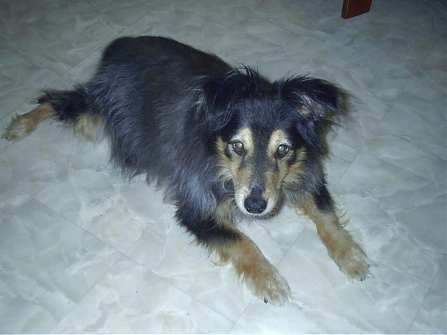 Oscar