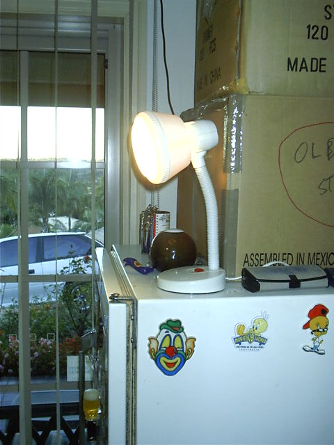 Let there be (reading) light
