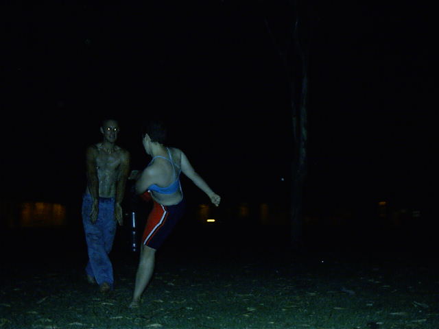 Cavie summons a fireball but is hit by a 1000 kick combo. 'Flawless Victory!'